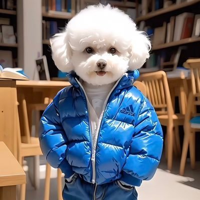 kolifa06's profile picture