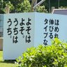ハッシー ボッチ参戦's profile picture