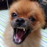 kenta's profile picture
