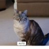 jac=@🏴󠁧󠁢󠁥󠁮󠁧󠁿🇬🇧nitmasterathome's profile picture