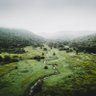 Wisdriftless's profile picture