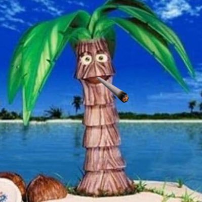 ébano's profile picture