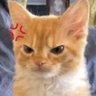 Ss3b's profile picture