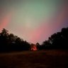 Theman2846's profile picture