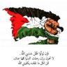 Profilbild von Ahmed Abu Hassan