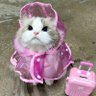 Фото профиля Khun Nuu Orn 😽💖