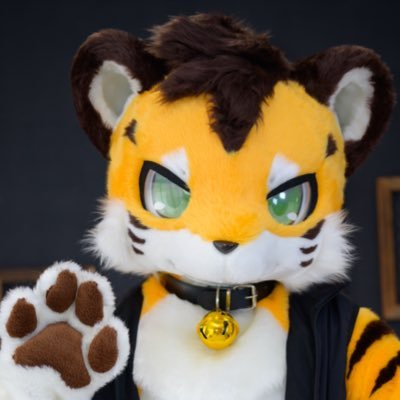 FurryHinri's profile picture
