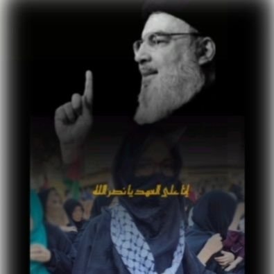 Aabish Ali's profile picture