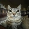 Profilbild von Vlad