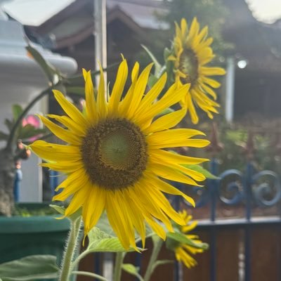 Jia 지아's profile picture