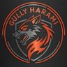 GULLY HARAMI profil fotoğrafı