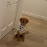 kesh profil fotoğrafı