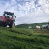 Фото профиля (Ex)Beef Farmer