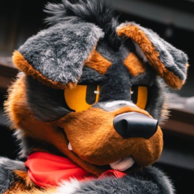LOBO🐾's profile picture