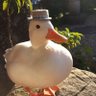 HSnow's profile picture