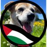 Profilbild von 赤フォ犬×③ ▷No to war.Stop the war.