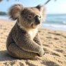 Profilbild von 🐨 𝔎𝔬𝔞𝔩𝔞 ℑ𝔪𝔬𝔢𝔱 🐨
