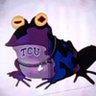 Profilbild von TCU Hypnotoad