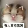 Hi ็ๅคดๅ