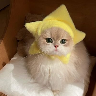 Rara's profile picture