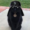 T.L.88's profile picture