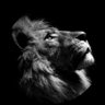 𝔻𝕀𝔻𝕀!'s profile picture