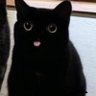 SillyTrooper3510's profile picture