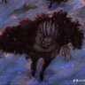 Dark's profile picture