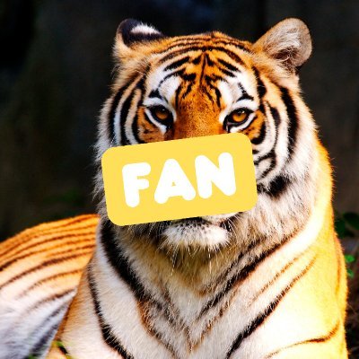 BorsaKaplani831's profile picture
