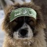 Caucasian ME 的头像