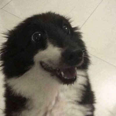 위삐's profile picture
