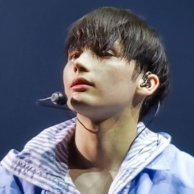 Icaay (。・ω・)ノ's profile picture