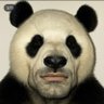 Profilbild von r