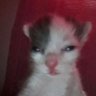 x_maniu_x's profile picture