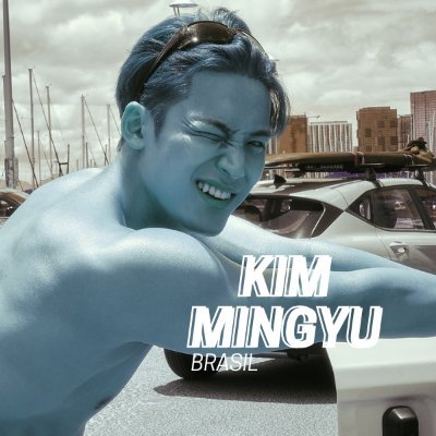 Kim Mingyu Brasil (fan account)'s profile picture