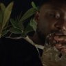 Odell 的头像