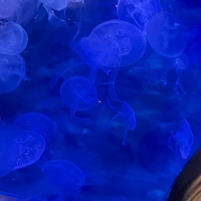 FnfuwaqIelpjgvu's profile picture
