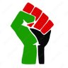 Profilbild von African, Caribbean and Asian Lawyers For Justice