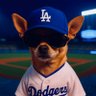 MrDodgerDog's profile picture