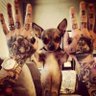 Mikey's profile picture