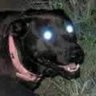 Evan's profile picture