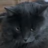 7Thing77's profile picture