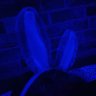 The Bunny Boy's profile picture