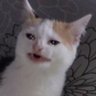໊'s profile picture