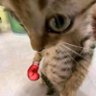 6thSenseBooty profil fotoğrafı