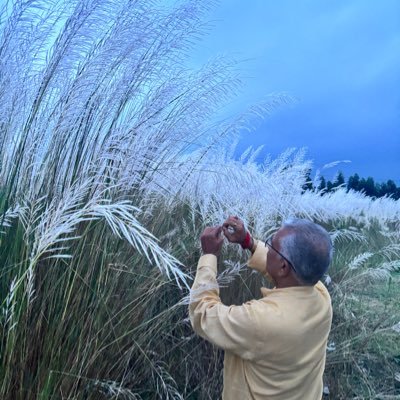 DilipGhoshBJP's profile picture