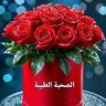 Profilbild von الصندوق الأسود