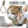 Oxyhnia's profile picture