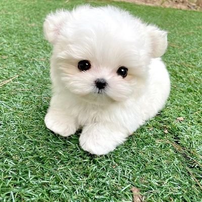 wlsgus644's profile picture