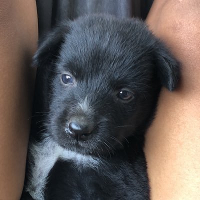 p's profile picture
